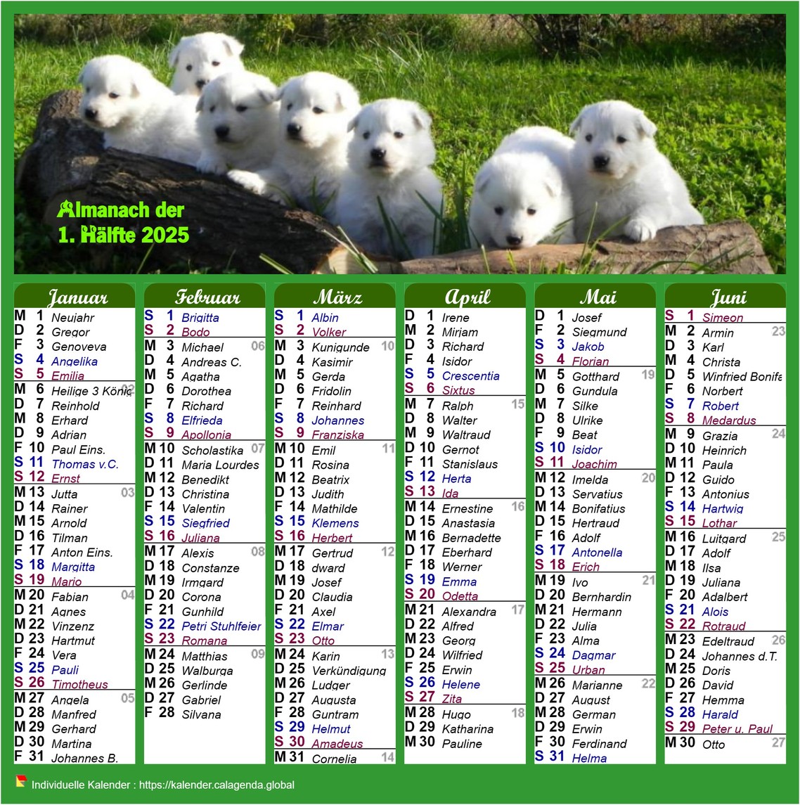 Kalender 2025 Halbjahreskalender mit Beiträgen