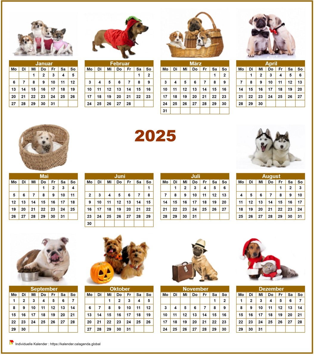 Kalender 2025 Jahresspecial 'Hunde' mit 10 Fotos