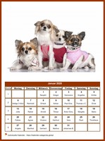 Januar 2025 Kalender der Serie „Hunde“
