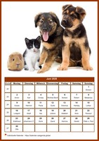 Monatskalender der Serie „Hunde“