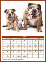 Monatskalender der Serie „Hunde“