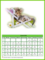 August 2025 Kalender der Serie „Katzen“