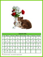 September 2025 Kalender der Serie „Katzen“
