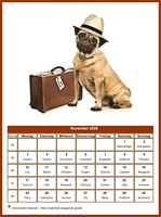 November 2025 Kalender der Serie „Hunde“