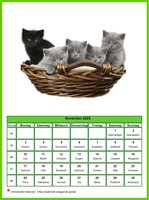 November 2025 Kalender der Serie „Katzen“