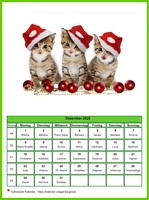 Dezember 2025 Kalender der Serie „Katzen“