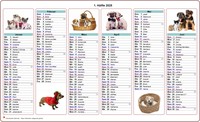 Halbjahreskalender 2025 Hunde