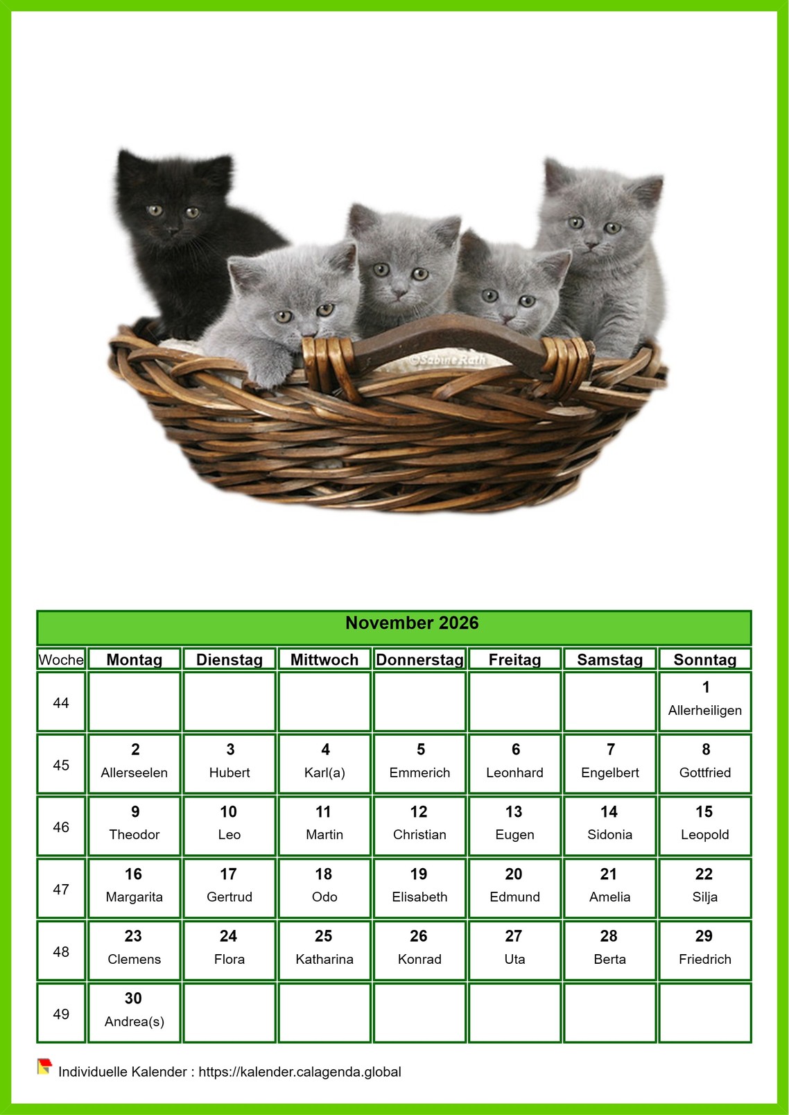 Kalender November 2026 Katzen