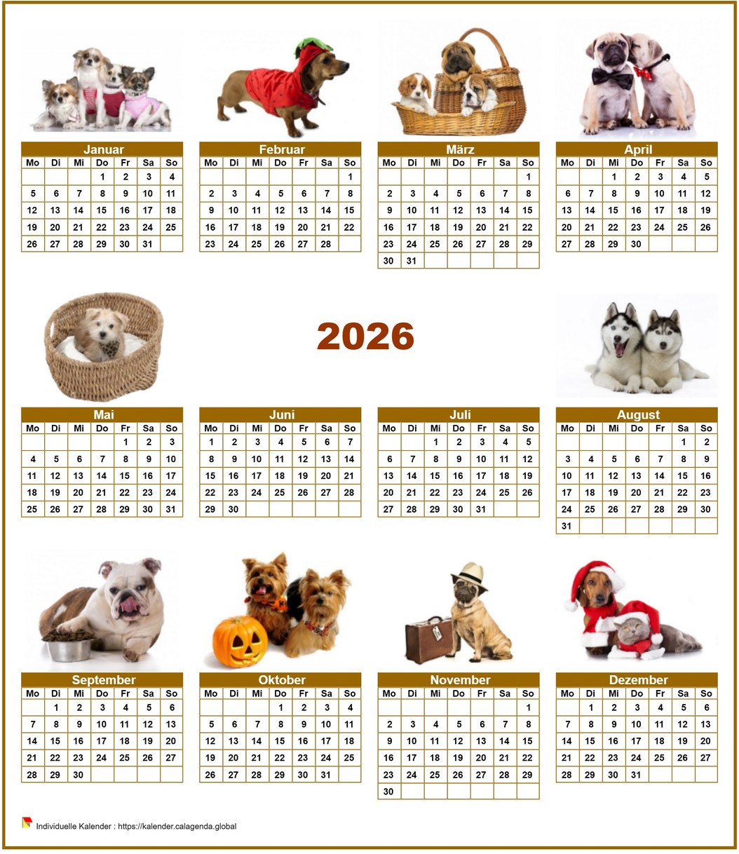 Kalender 2026 Jahresspecial 'Hunde' mit 10 Fotos