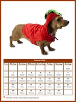 Februar Kalender der Serie „Hunde“