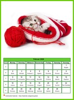Februar 2026 Kalender der Serie „Katzen“