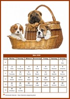 März Kalender der Serie „Hunde“