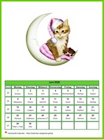 Juni 2026 Kalender der Serie „Katzen“