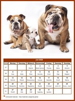 Juli Kalender der Serie „Hunde“