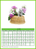 Juli 2026 Kalender der Serie „Katzen“