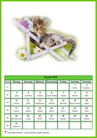 August 2026 Kalender der Serie „Katzen“