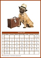 Hunde-Monatskalender mit jedem Monat einem anderen Motiv