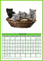 November 2026 Kalender der Serie „Katzen“