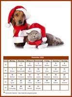 Dezember Kalender der Serie „Hunde“