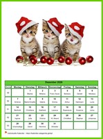 Dezember 2026 Kalender der Serie „Katzen“