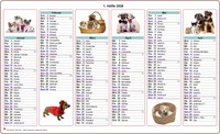 Halbjahreskalender Hunde