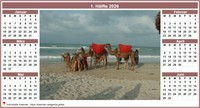 Halbjahreskalender zweispaltig mit Mittelfoto