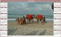Kostenloser Fotokalender