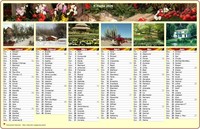 Halbjährlicher Kalender, ein Foto pro Monat Halbjährlicher Kalender, ein Foto pro Monat