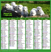 Halbjährliche Beiträge im Kalenderstil Halbjährliche Beiträge im Kalenderstil