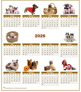 Jahreskalender 2026 mit 10 Hundebildern