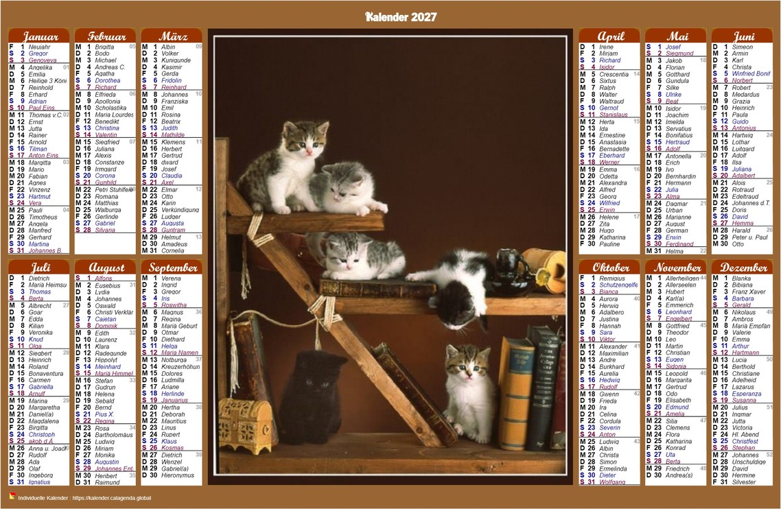 Kalender 2027 jährlicher Stilkalender mit Posts mit Katzen