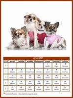 Januar 2027 Kalender der Serie „Hunde“
