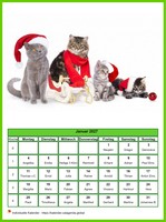 Januar 2027 Kalender der Serie „Katzen“
