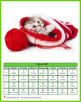 Februar 2027 Kalender der Serie „Katzen“