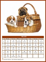 März 2027 Kalender der Serie „Hunde“