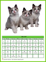 März 2027 Kalender der Serie „Katzen“