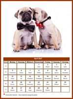 April 2027 Kalender der Serie „Hunde“