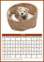 Mai 2027 Kalender der Serie „Hunde“