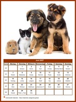 Juni 2027 Kalender der Serie „Hunde“