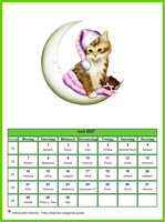 Juni 2027 Kalender der Serie „Katzen“