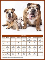 Juli 2027 Kalender der Serie „Hunde“