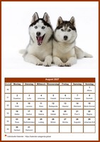 August 2027 Kalender der Serie „Hunde“