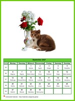September 2027 Kalender der Serie „Katzen“