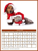 Dezember 2027 Kalender der Serie „Hunde“