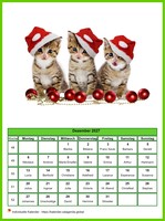 Dezember 2027 Kalender der Serie „Katzen“