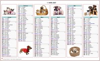 Halbjahreskalender 2027 Hunde