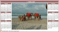 Halbjahreskalender 2027 zweispaltig mit Mittelfoto