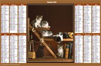 Jahreskalender 2027 mit Katzen