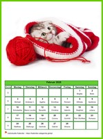 Februar 2008 Kalender der Serie „Katzen“