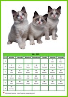 März 1493 Kalender der Serie „Katzen“
